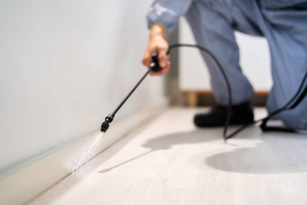 Certified termite inspector examining foundation in Granger